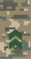 Field uniform shoulder board (Sergeant)