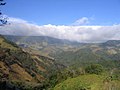 Bosque nuboso de Monteverde, Costa Rica.