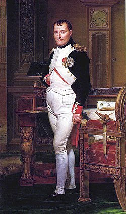 Napoleon I, Jacques-Louis David'in resmi