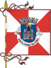 Flag of Santa Maria da Feira