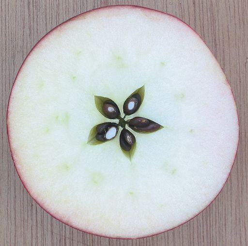 Apple Pictures Sideways How Many Seeds Are in an Apple?