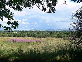 Долина (глен) Троссахс[англ.]