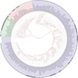 Tree of life SVG