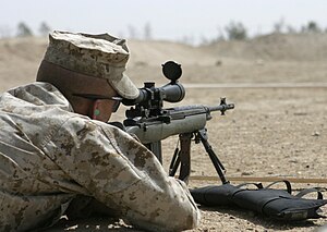 300px-USMC_M14_DMR.JPG