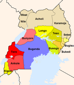 The administrative divisions of the British Protectorate of Uganda, including five of today's six kingdoms Uganda Protectorate British administration.png