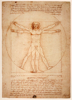 Vitruvian Man, Gallerie dell'Accademia, Venice