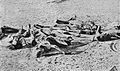 V.M. Doroshevich-East and War-British India. Corpses of Famine Victims enhaced.jpg