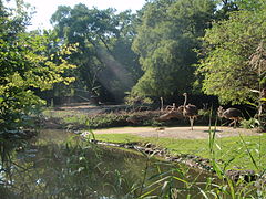 Zone africaine, près de l'entrée.