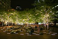 Zuccotti Park rond kerstmis 2014