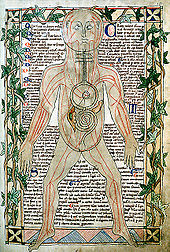 13th-century illustration showing the veins. Bodleian Library, Oxford. 13th century anatomical illustration - sharp.jpg