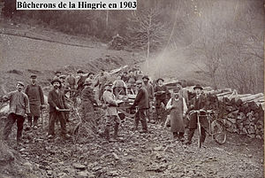 Bûcherons travaillant à la Hingrie en 1903