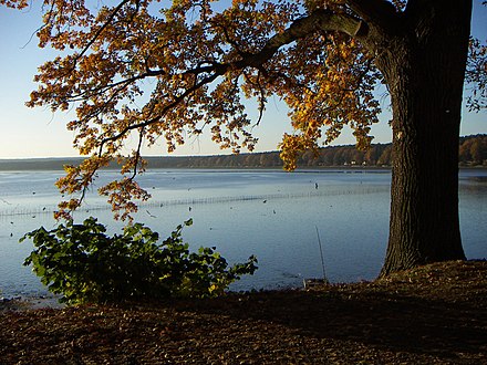 L'étang de Bezdrev en octobre.