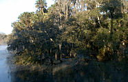 Blue Spring State Park, St. Johns River