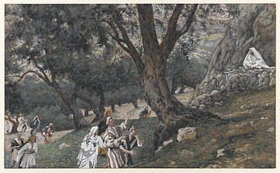 Gesù tra fichi e ulivi
