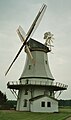 Windmolen te Engeln (Behlmer Mühle)