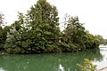 L'île vue aval depuis la rive bryarde