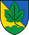 Blason