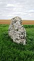 Menhir de la tête de chevau