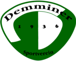 Demminer SV 91