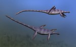 Miniatura per Elasmosaurus