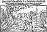 Hexenverbrennung 1555)