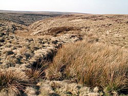 A small valley cuts through desolate moorland, under a blue sky