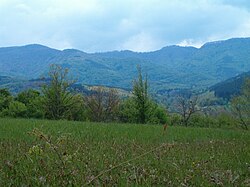 Overlooking the fields in Mlechevo
