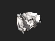 Orbit of the Face, STL file processed 1.0.0