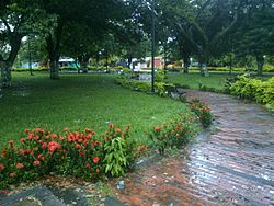 Parque central-5.jpg