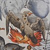 Phoenix in Johann Doppelmayr's 1742 work Atlas Coelestis