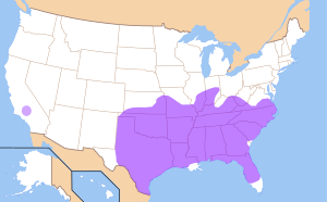 The merger of pin and pen in Southern American English. The areas marked in purple are where the merger is complete for most speakers. Based on Labov, Ash, and Boberg 2006: 68. Pin-pen.svg