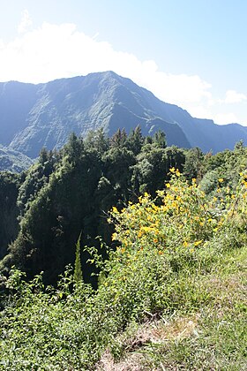 Vue du piton Bé Massoune depuis le point de vue du col Carozin, à Salazie.