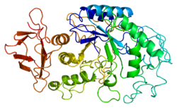 Protein AMY1A PDB 1b2y.png