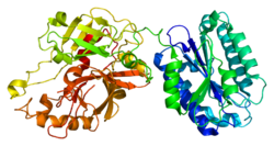 Protein C2 PDB 2i6q.png