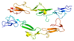 Протеин EMR2 PDB 2bo2.png