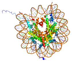 Protein HIST1H4H PDB 1aoi.png