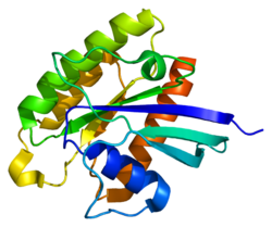 Белок RHEB PDB 1xtq.png