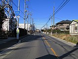 埼玉県さいたま市岩槻区中心部、下り方面（2011年1月）