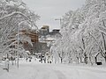 Schenley Plaza公園冬天景色