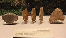 5 thin, oval- or triangle-shaped stones