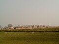 Streefkerk, Brücke für Räder im Polder