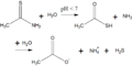 Thioacetamid - H2S