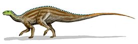 Tenontosaurus BW.jpg