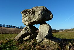 La nesto de la diablo, Clatford Bottom, Wiltshire.JPG