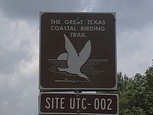 Великая прибрежная тропа для наблюдения за птицами Техаса 467.JPG