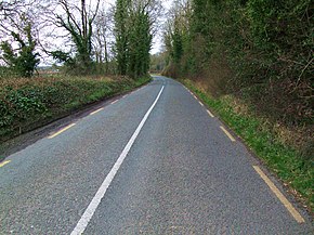 The R666 road Ireland.JPG