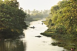 కొవ్వలి పొలాల నుంచి పారుతున్న పంట కాలువ