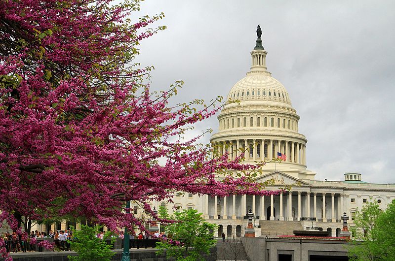 File:USA Washington Capitol.JPG