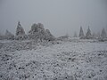 Neuer Hagen im Winter bei Nebel