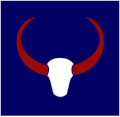 21st Indian Infantry Division[80]